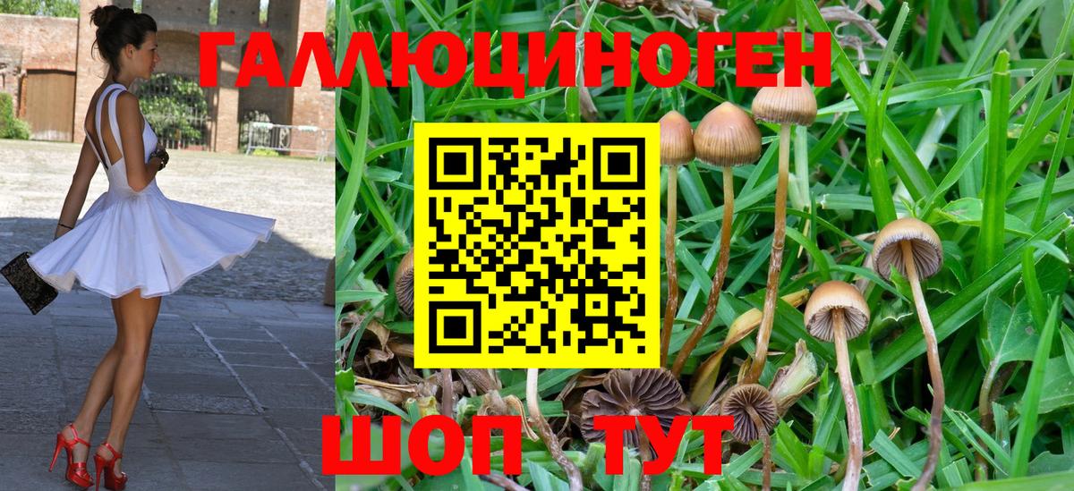 Кисловодск  Псилоцибиновые грибы мухоморы  купить   Псилоцибиновые грибы мицелий  Вход с VPN 
